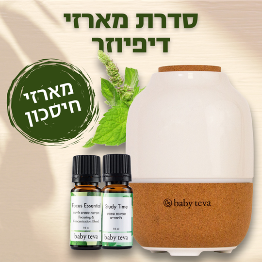דיפיוזר ומבערים